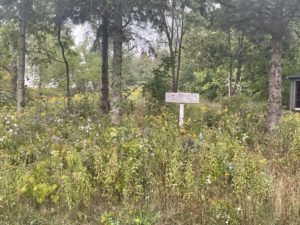 Just the Dads Gallery 2022