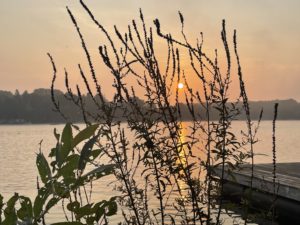 Just the Dads Gallery 2022